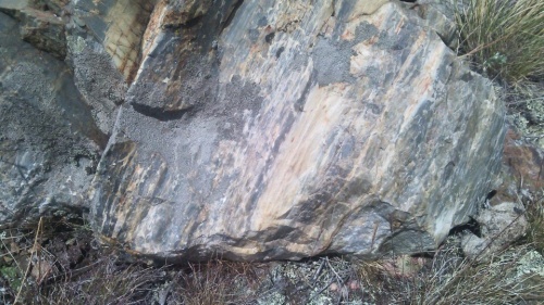 Гигантские зелёные валуны для ландшафтного дизайна весом более 5 тонн купить в Златоусте